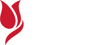 BİKEV OKULLARI Logo